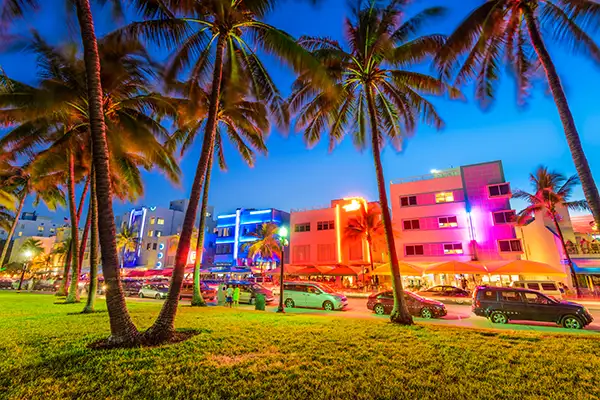 Vibrant nightlife with palm trees